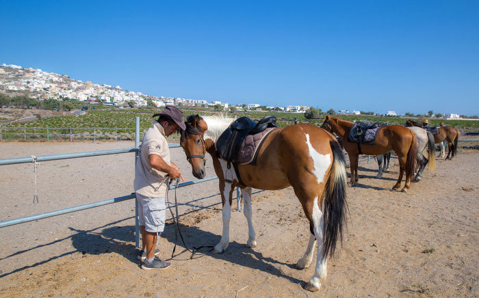 Horse Riding - Santorini